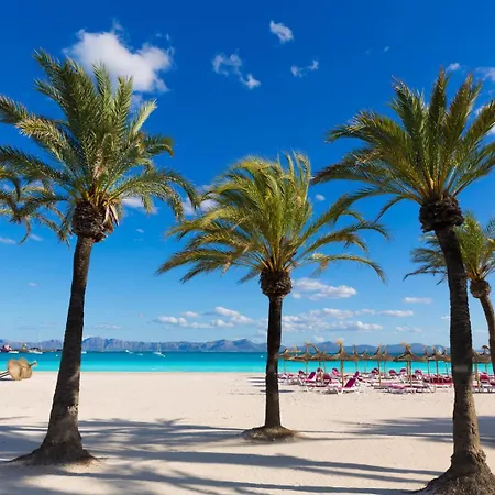 Voramar Baix In Alcudia (Mallorca)